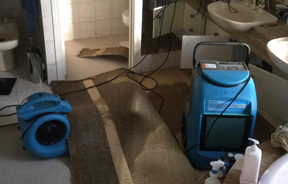 Flooded Carpet Restoration and Cleanup Service with Blower and Dehumidifier