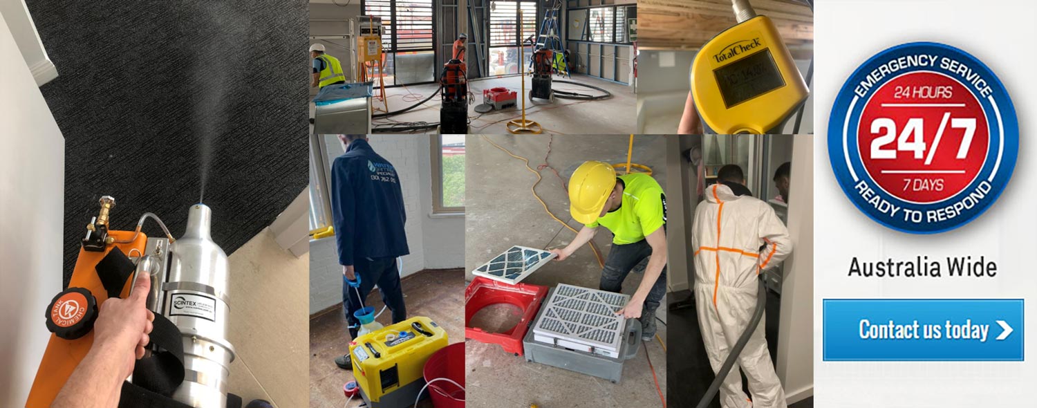 Our Mould Removal Technicians