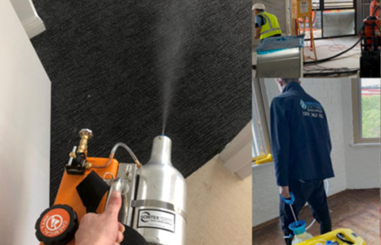 Mould Removal and Remediation after Flooding